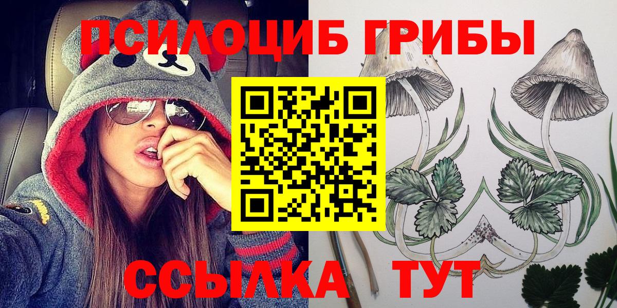 Черкесск  Псилоцибиновые грибы ЛСД  Псилоцибиновые грибы Magic Shrooms  Вход с VPN 